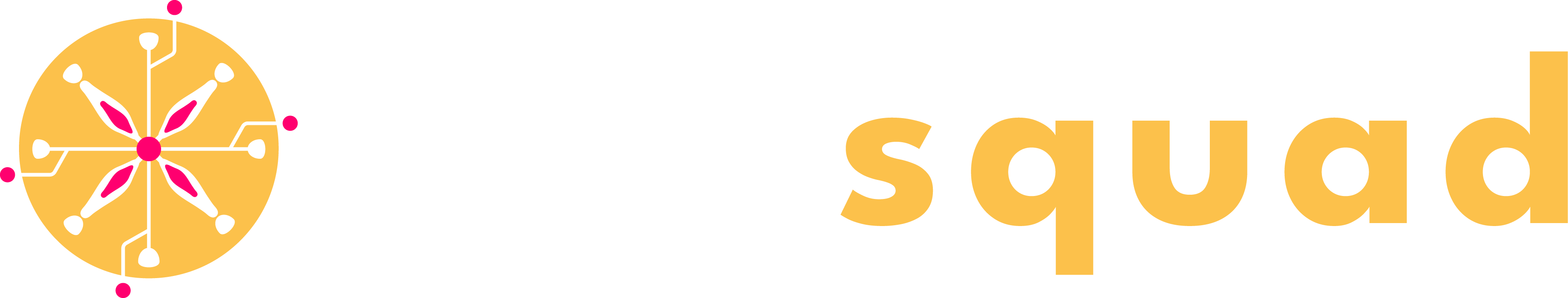 DigiSquad Logo